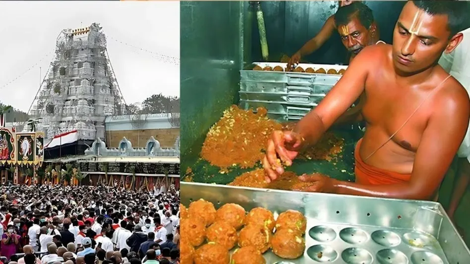 tirupati-mandir-ladoo