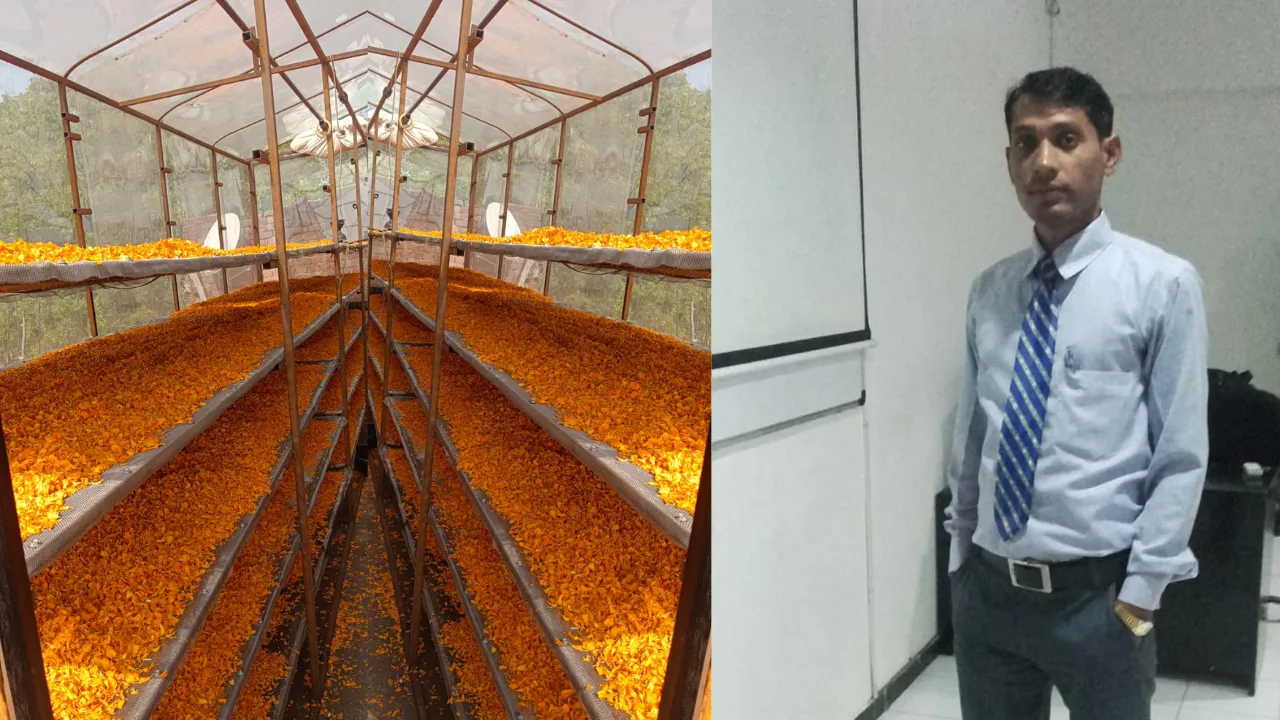 Blue Tea to Solar Farming in India, benefits of blue tea