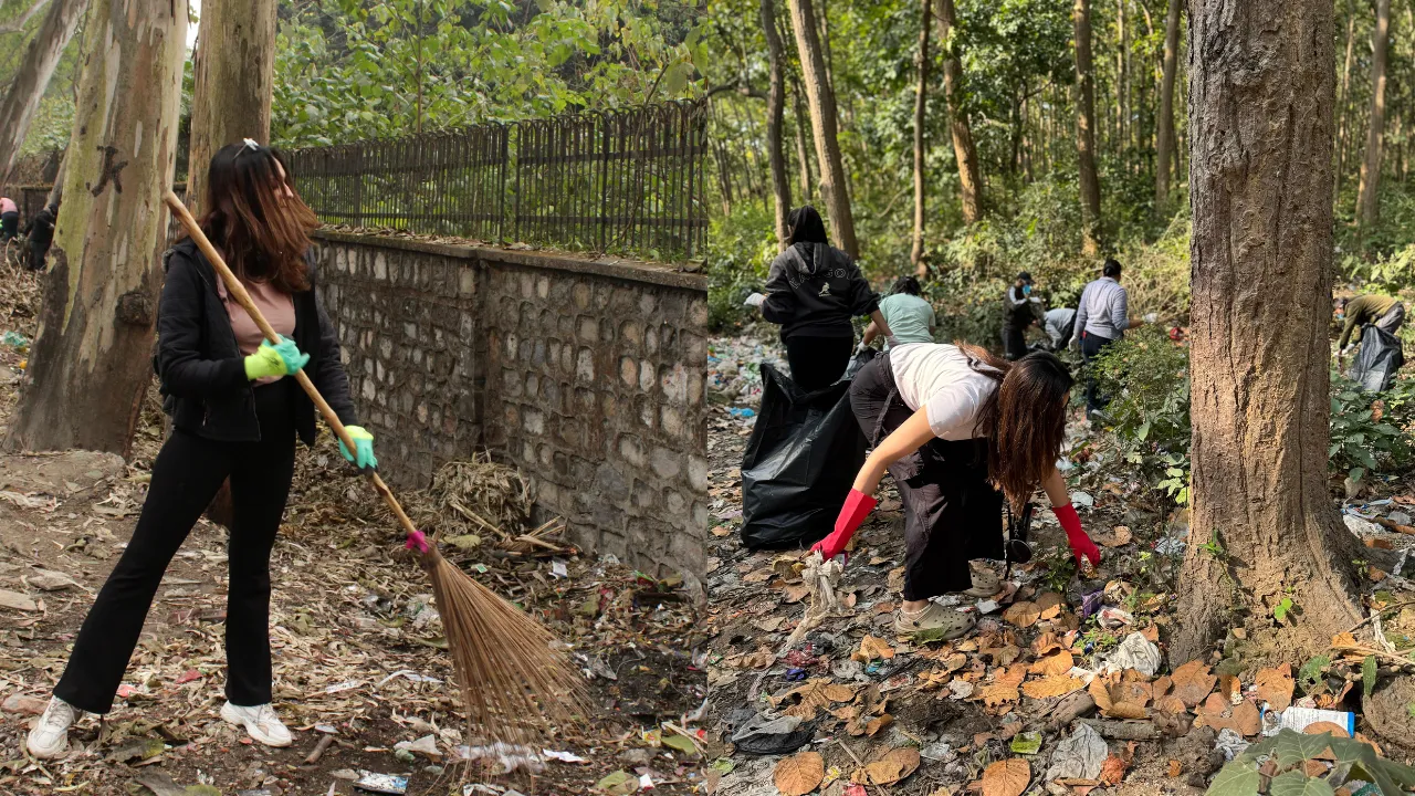 top 10 environmentalists in india, sustainable development, project on sustainable development