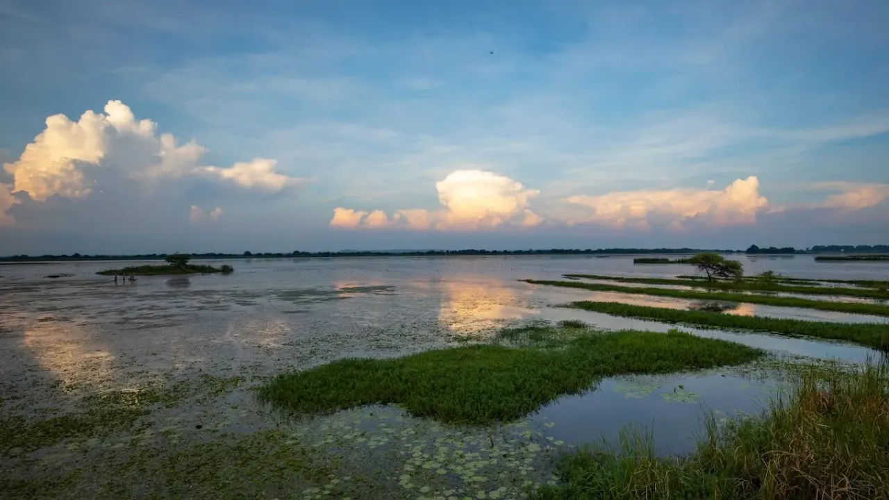 1 RAMSAR SITE GOA