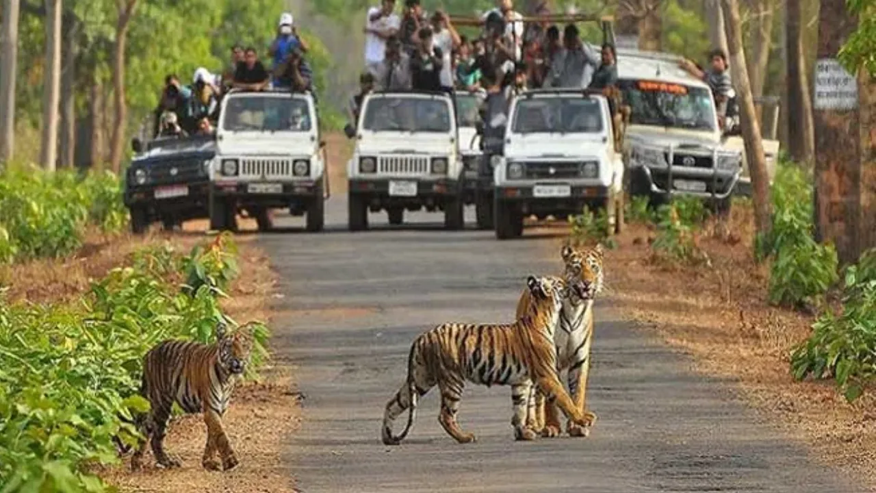 Ranthambore National Park