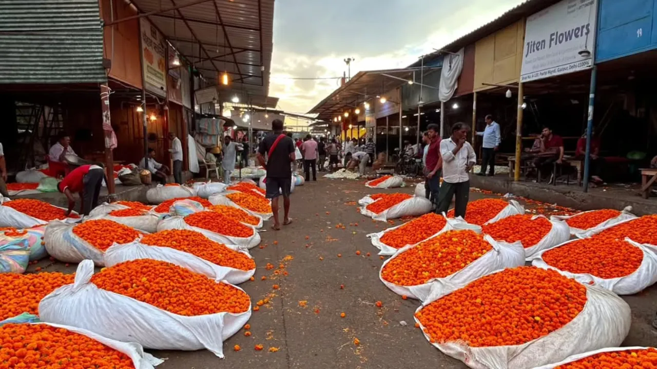 Local Samosa FIower market