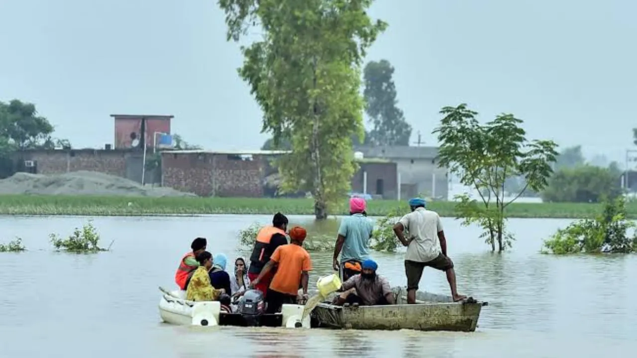 Local Samosa FI northindiafloods
