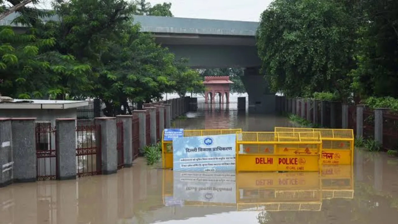 Local Samosa FI northindiafloods