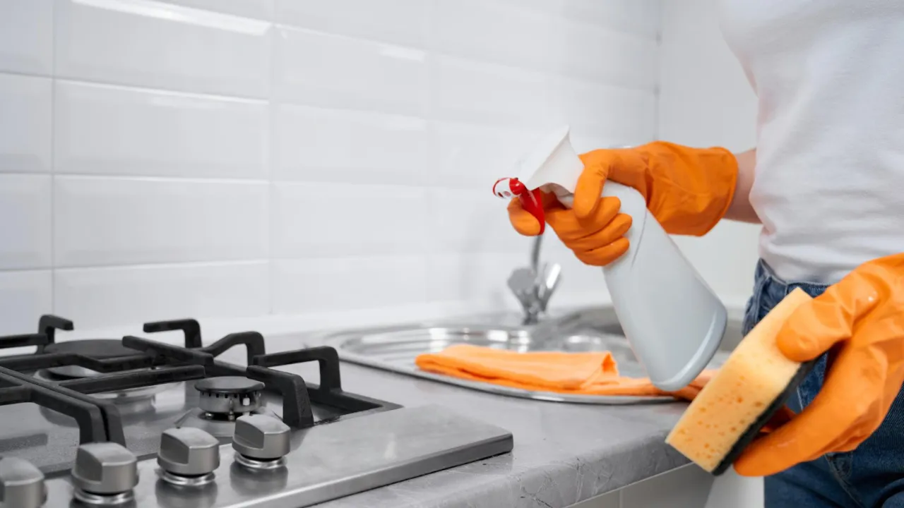 Products for Diwali Cleaning (2)
