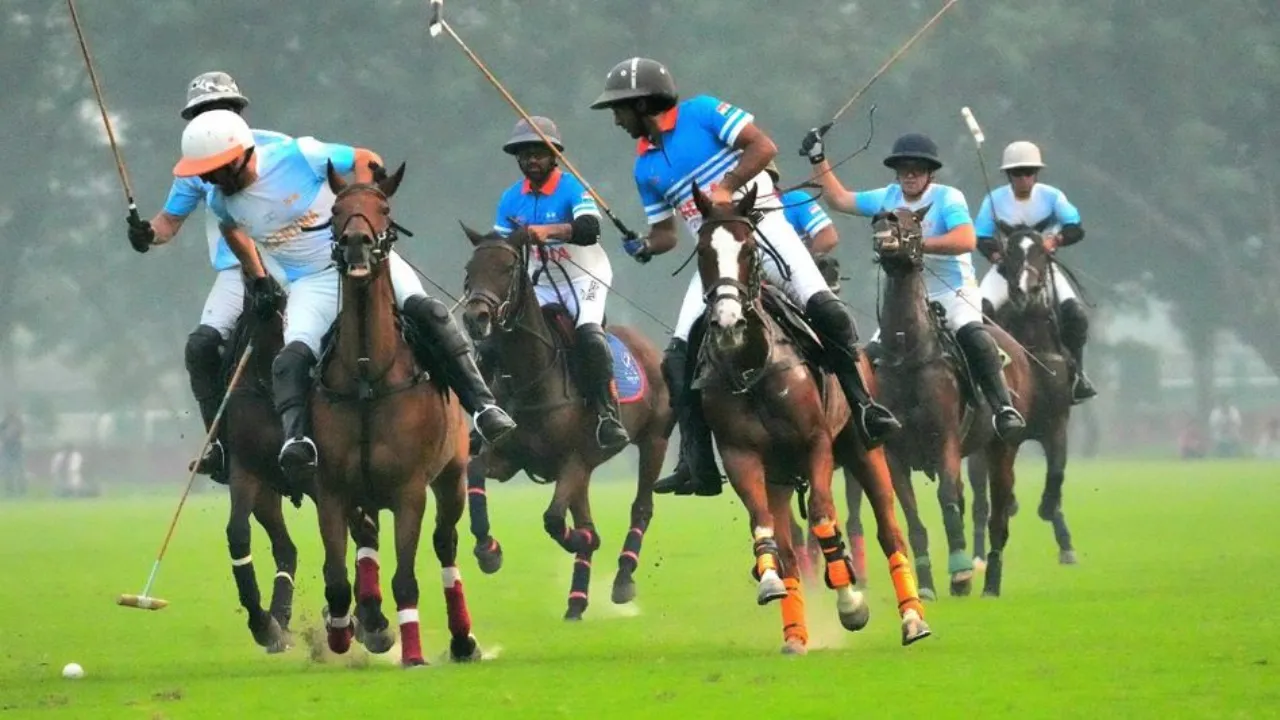 Copy of Local Samosa FI