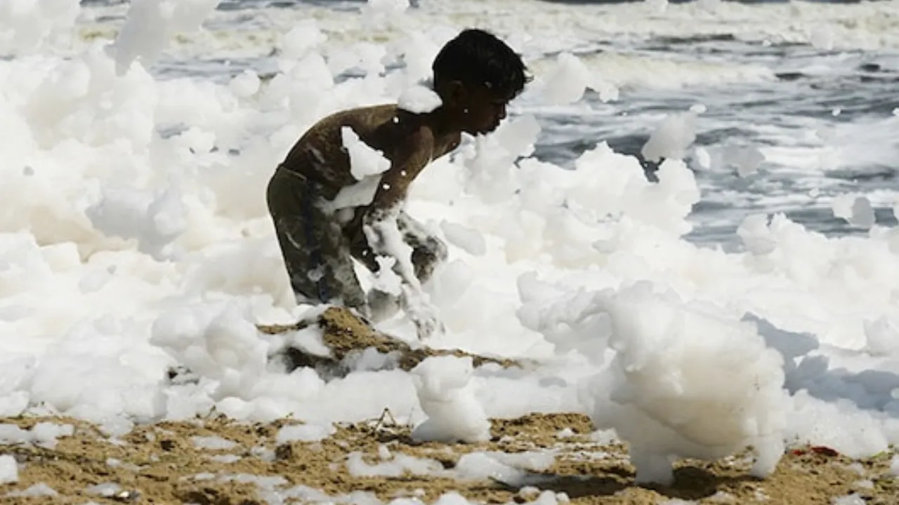 Copy of Local Samosa FI