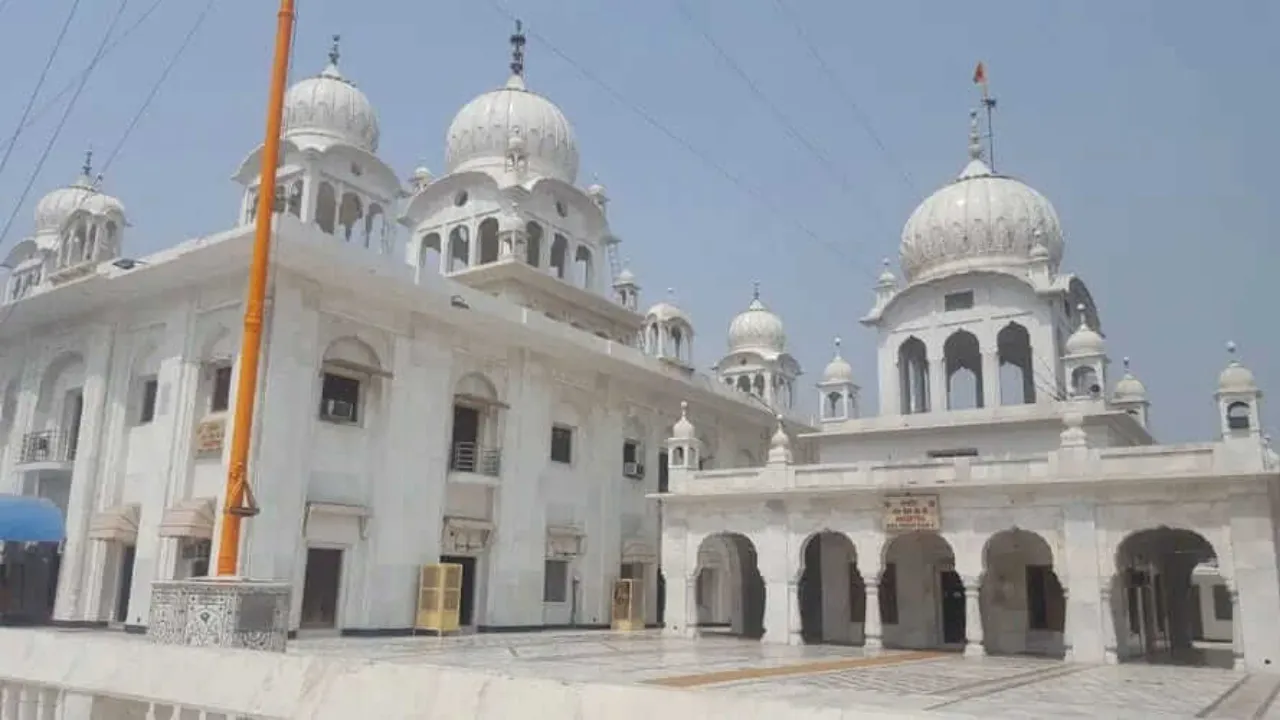 Copy of Local Samosa FI