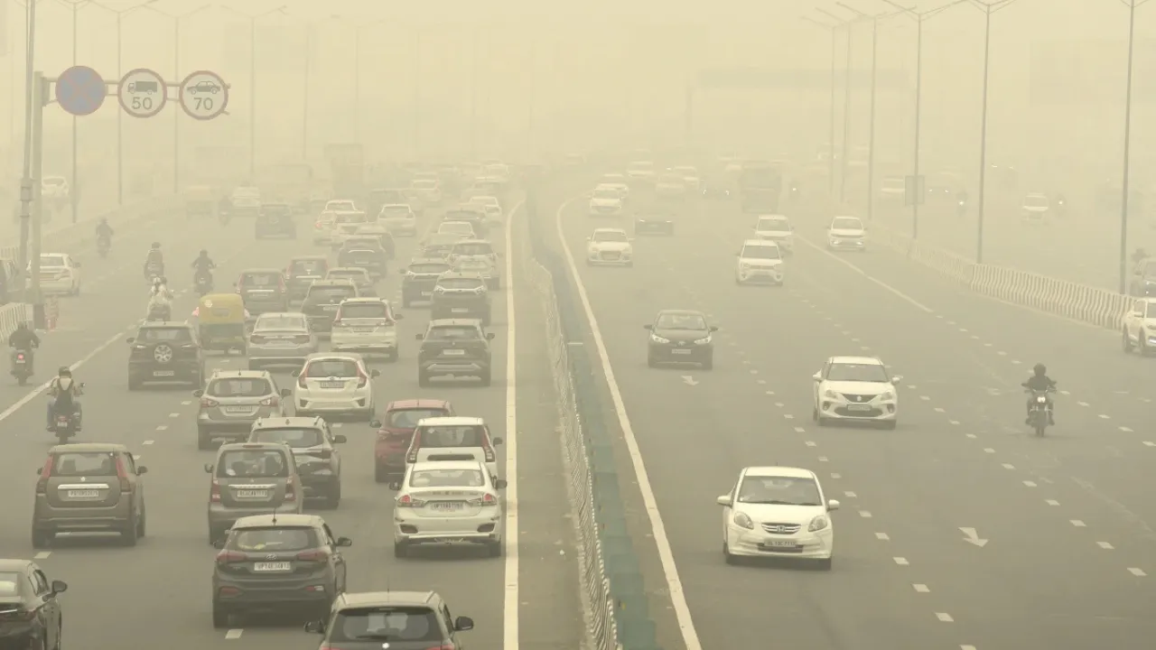 Copy of Local Samosa FI