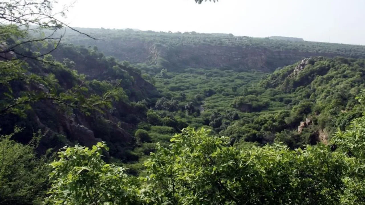 Copy of Local Samosa FI - 1