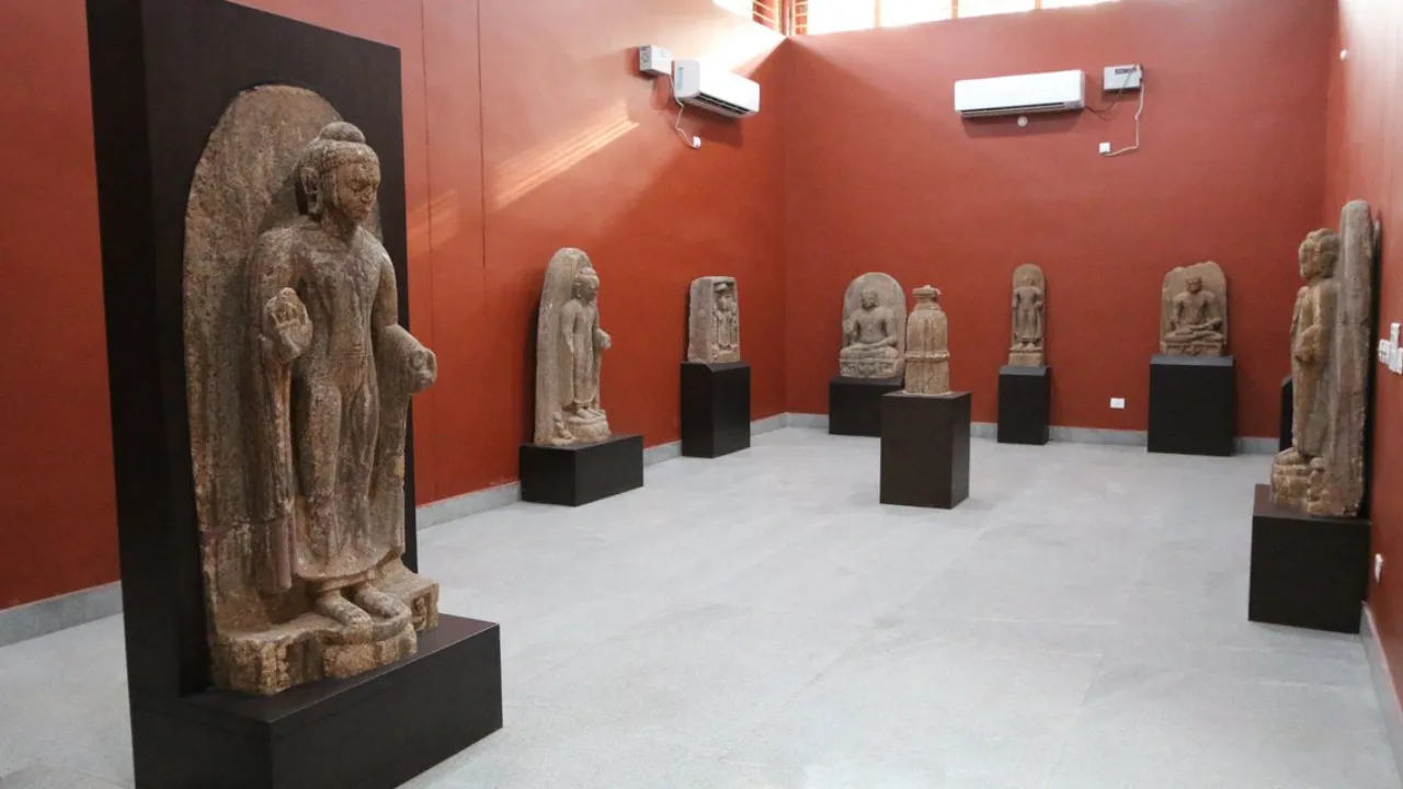 Copy of Local Samosa FI - 4