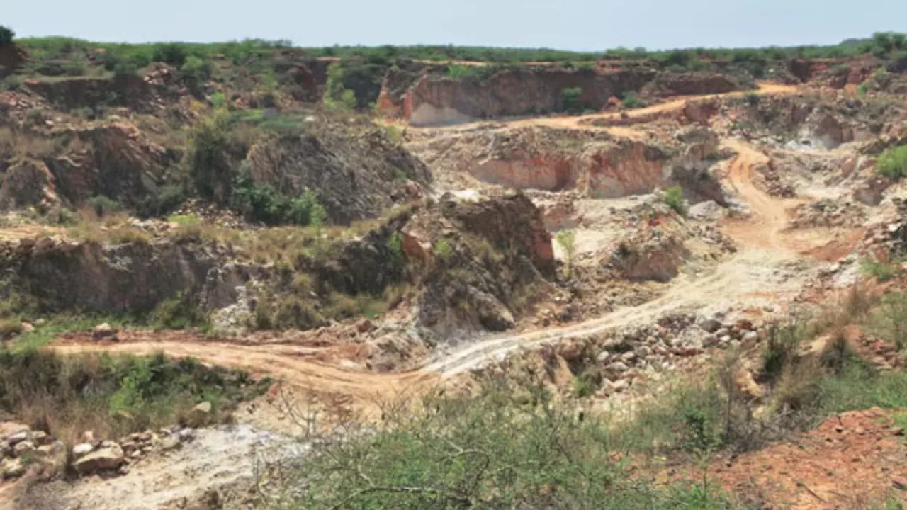 Copy of Local Samosa FI - 6