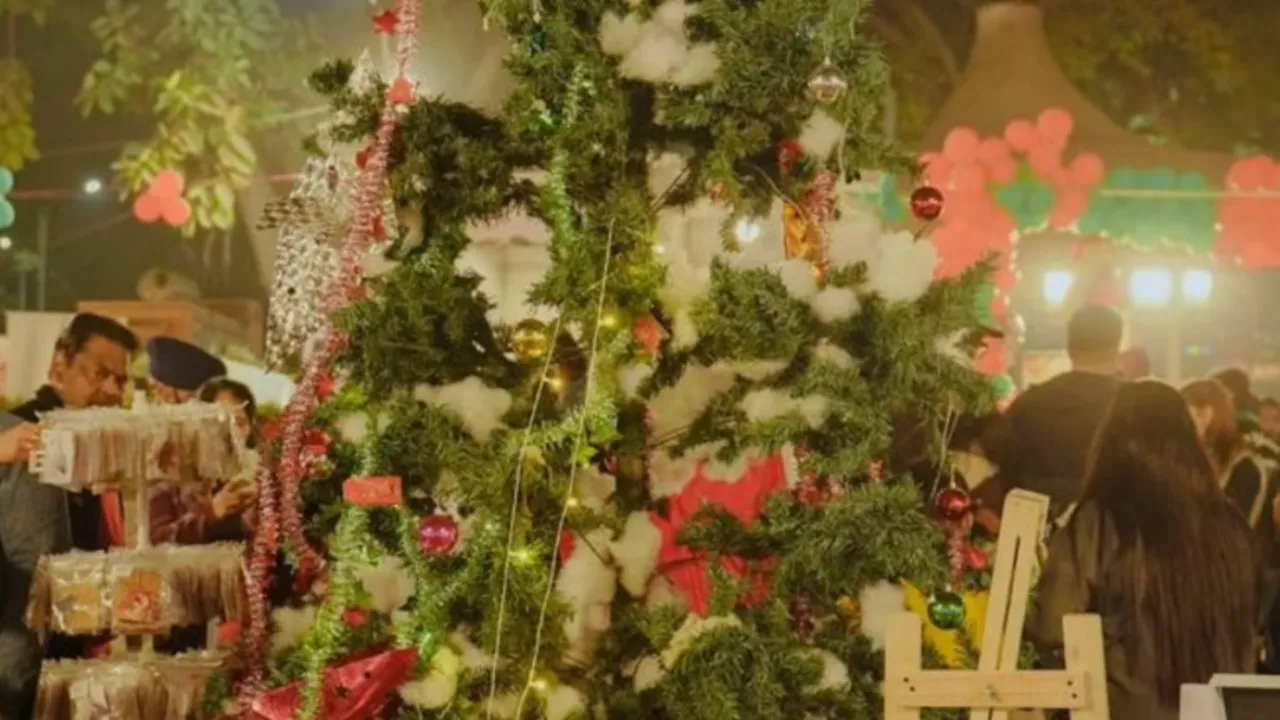 Copy of Local Samosa FI - 9