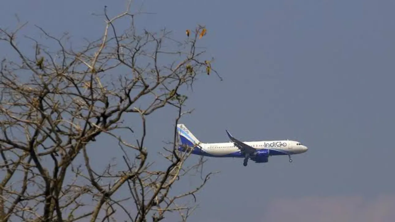 Copy of Local Samosa FI - 2