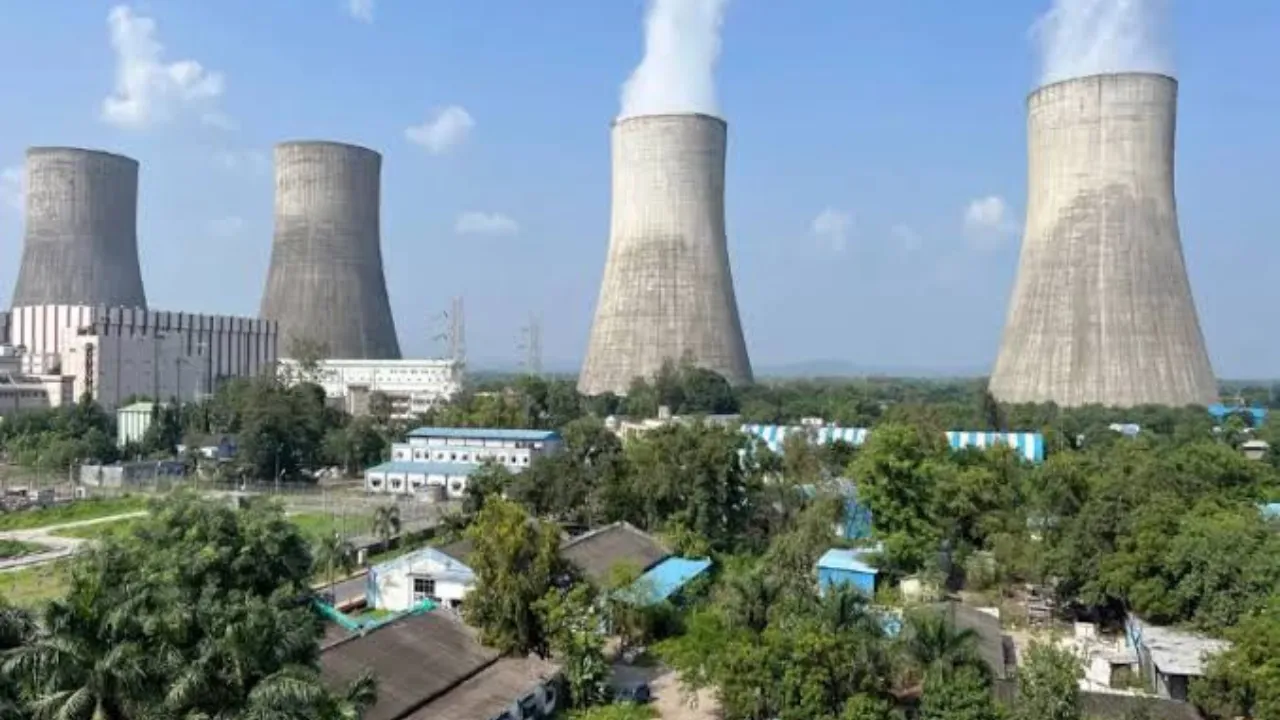 Copy of Local Samosa FI - 2