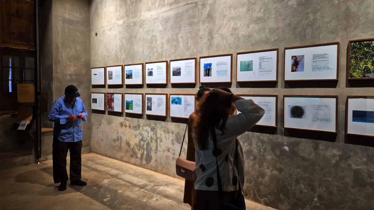 Copy of Local Samosa FI - 3