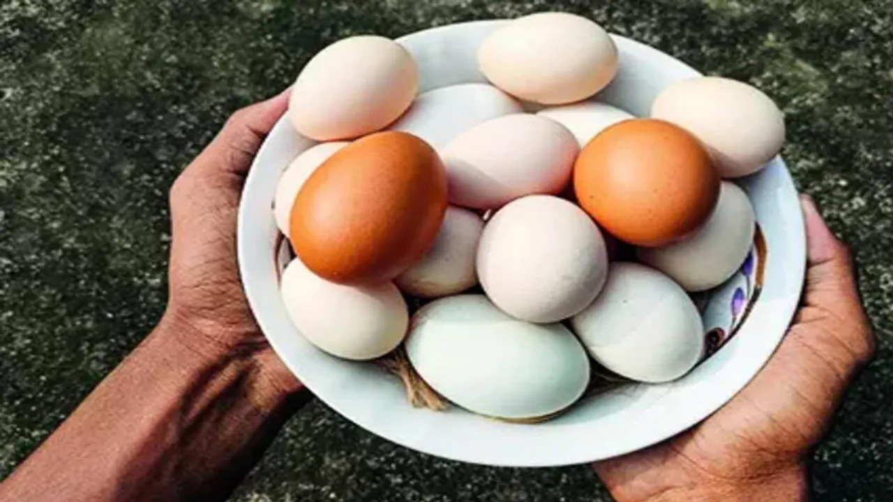 Copy of Local Samosa FI - 5