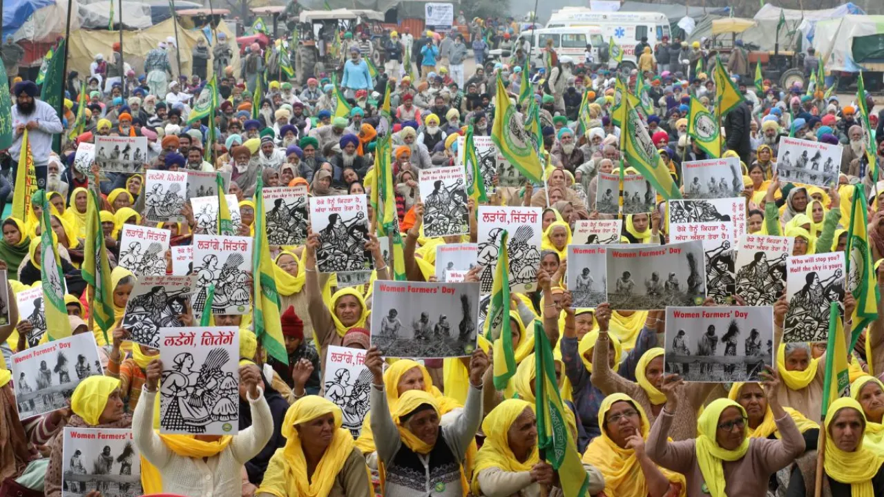 Copy of Local Samosa FI - 2