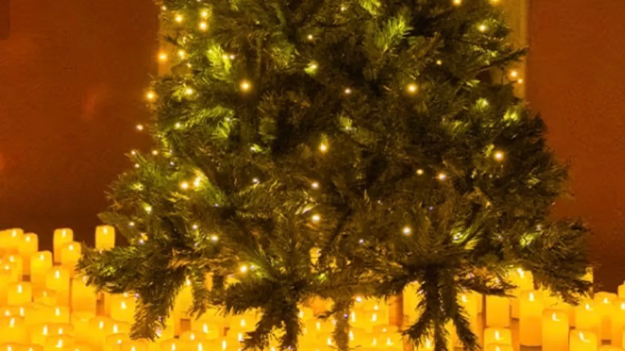 Copy of Local Samosa FI - 5