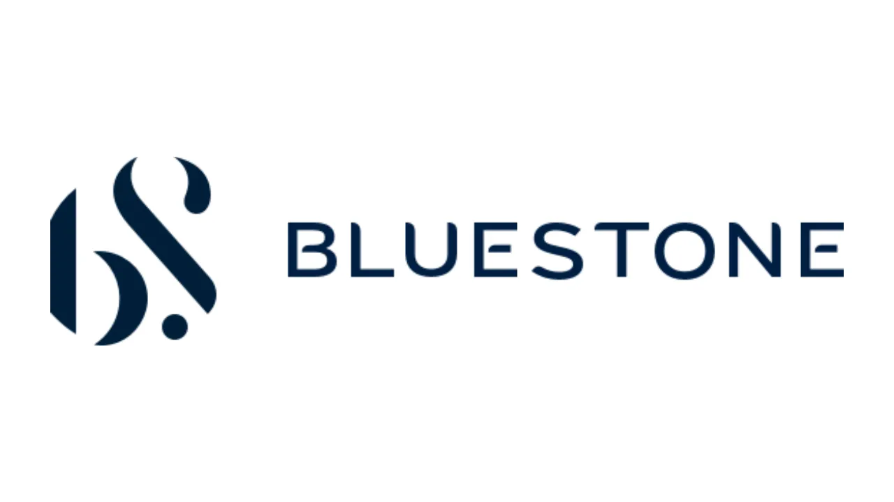 Indian Brands IPOs 2025 (15)