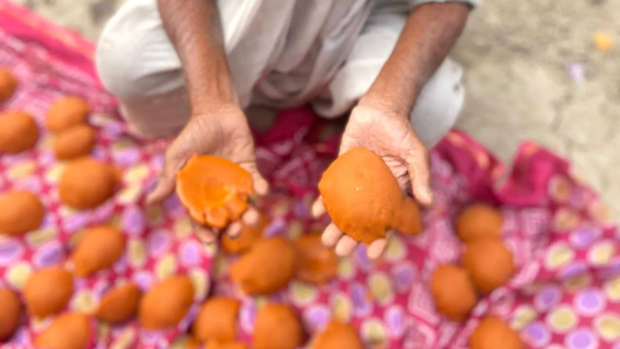 Copy of Local Samosa FI - 5