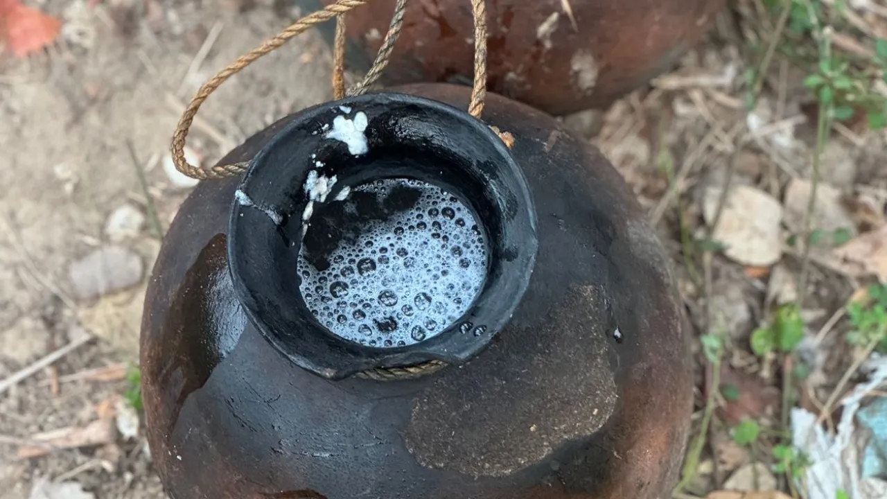 Copy of Local Samosa FI - 7