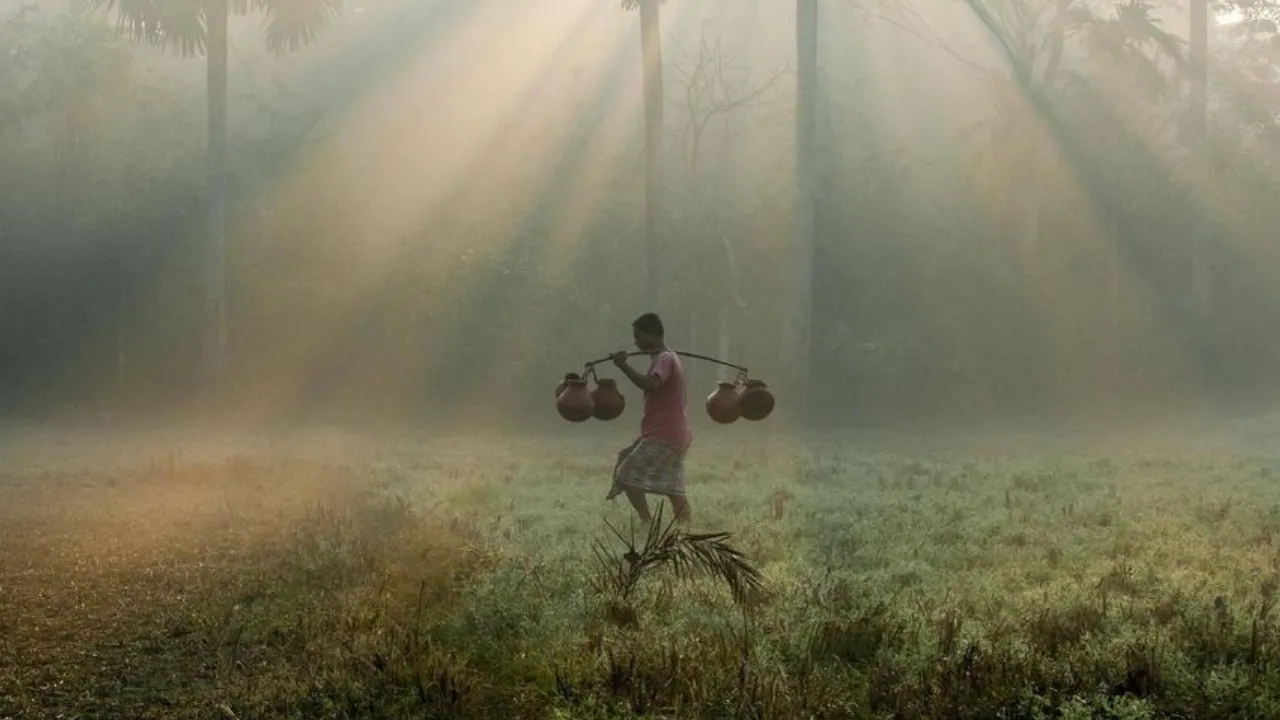 Copy of Local Samosa FI - 8