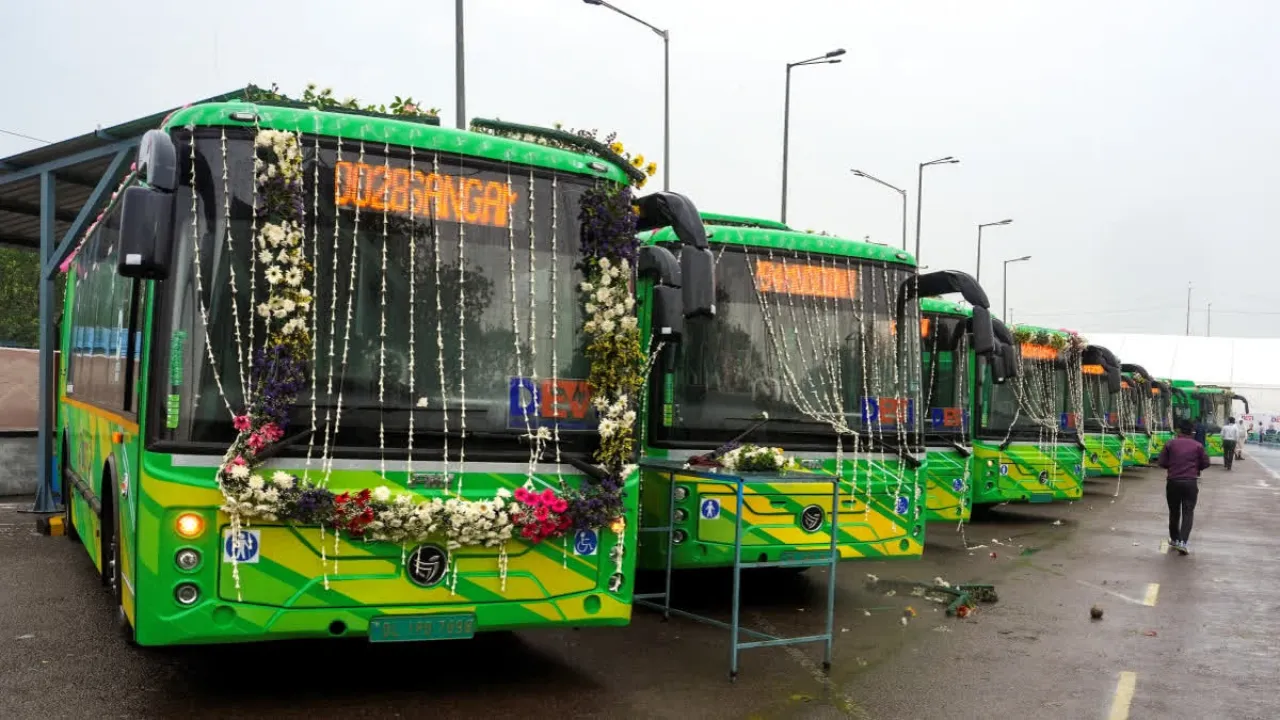 Copy of Local Samosa FI - 2