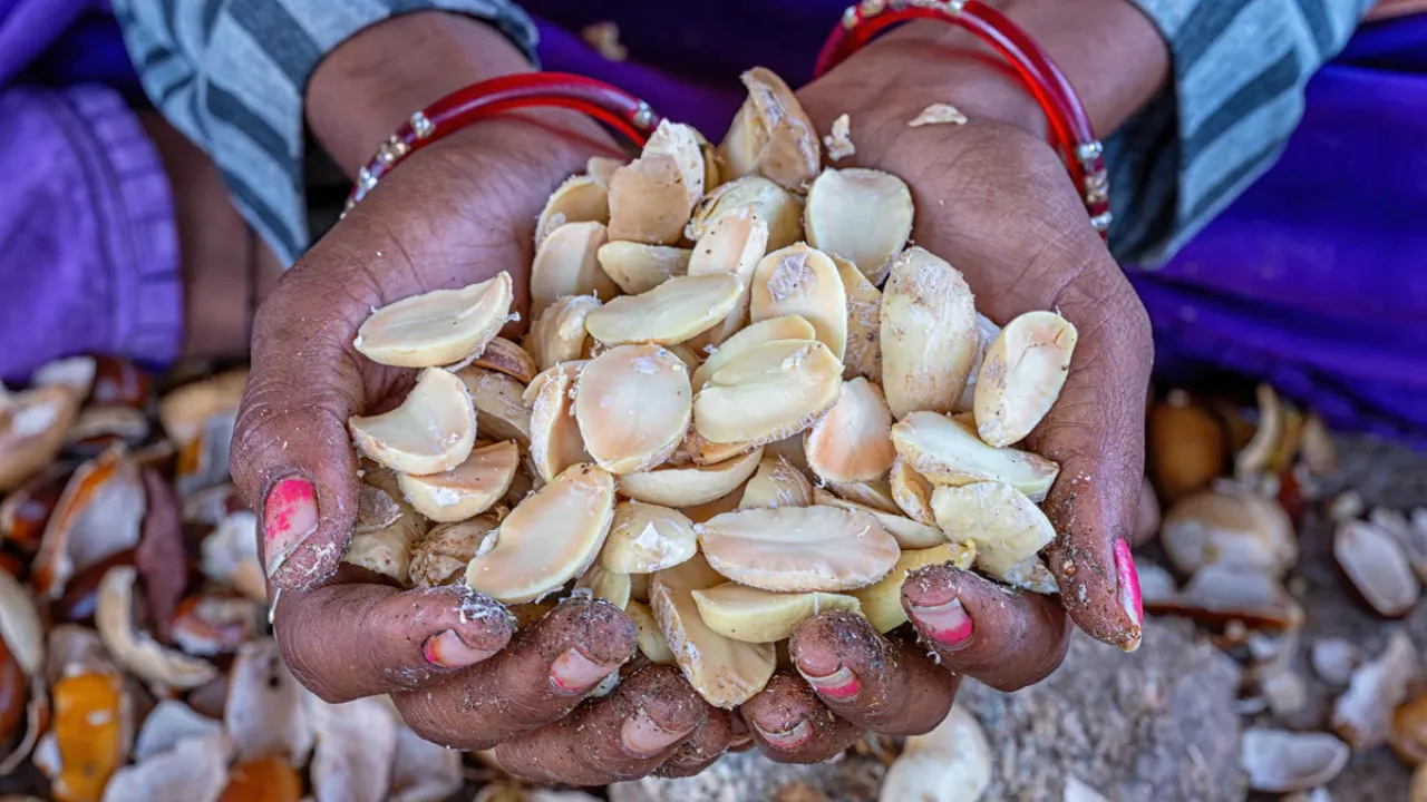 Copy of Local Samosa FI - 1