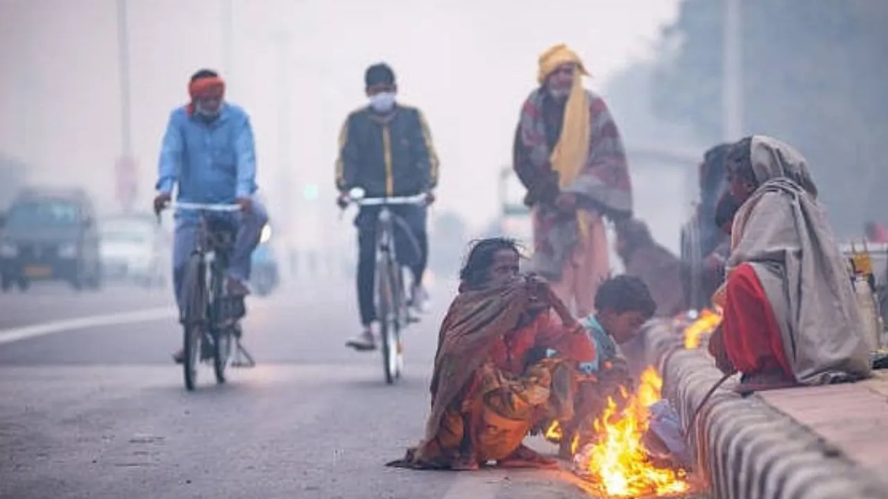 Copy of Local Samosa FI - 11