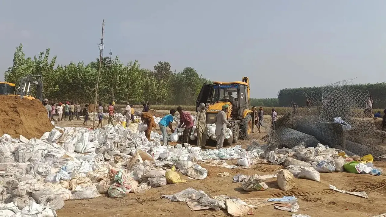 Copy of Local Samosa FI - 3