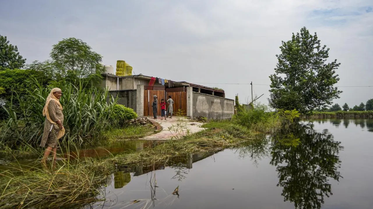 Copy of Local Samosa FI - 4