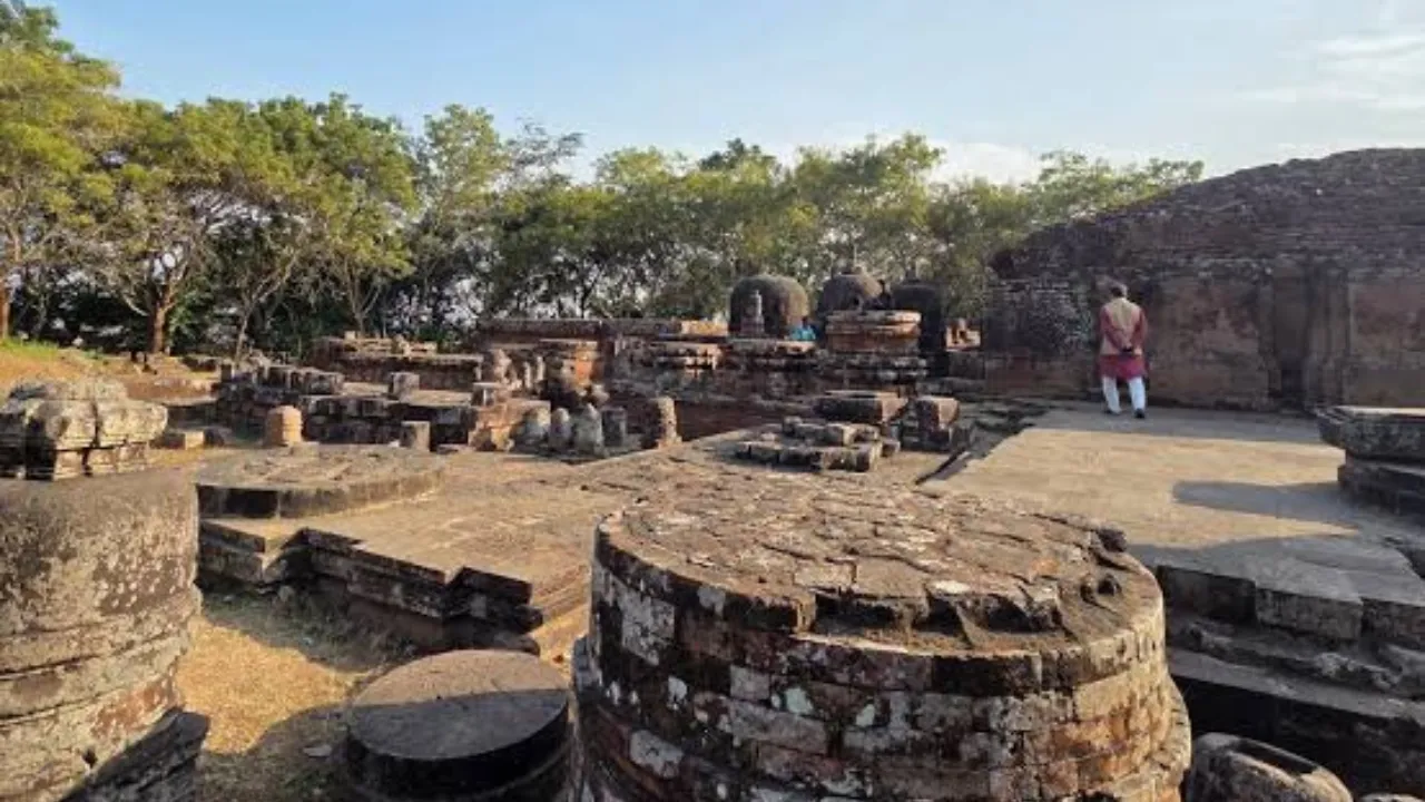 Copy of Local Samosa FI - 4