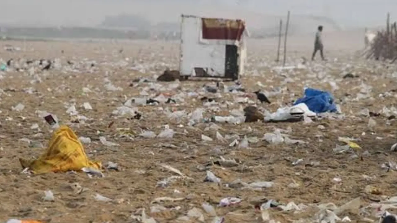 Copy of Local Samosa FI - 5