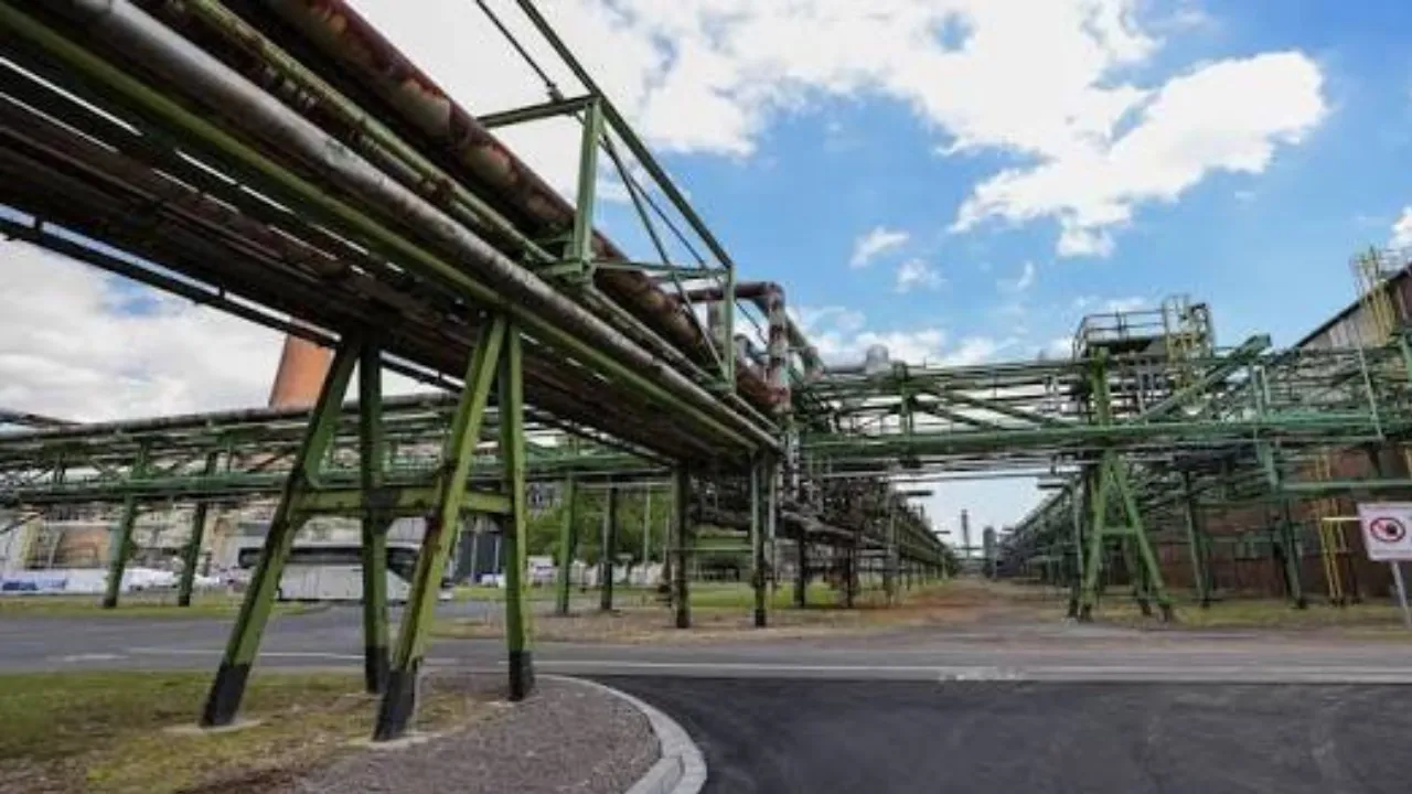 Copy of Local Samosa FI - 9