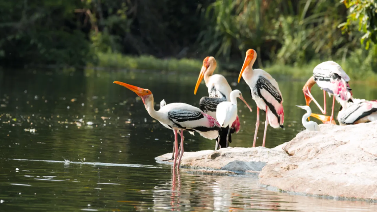 5 ramsar sites in up