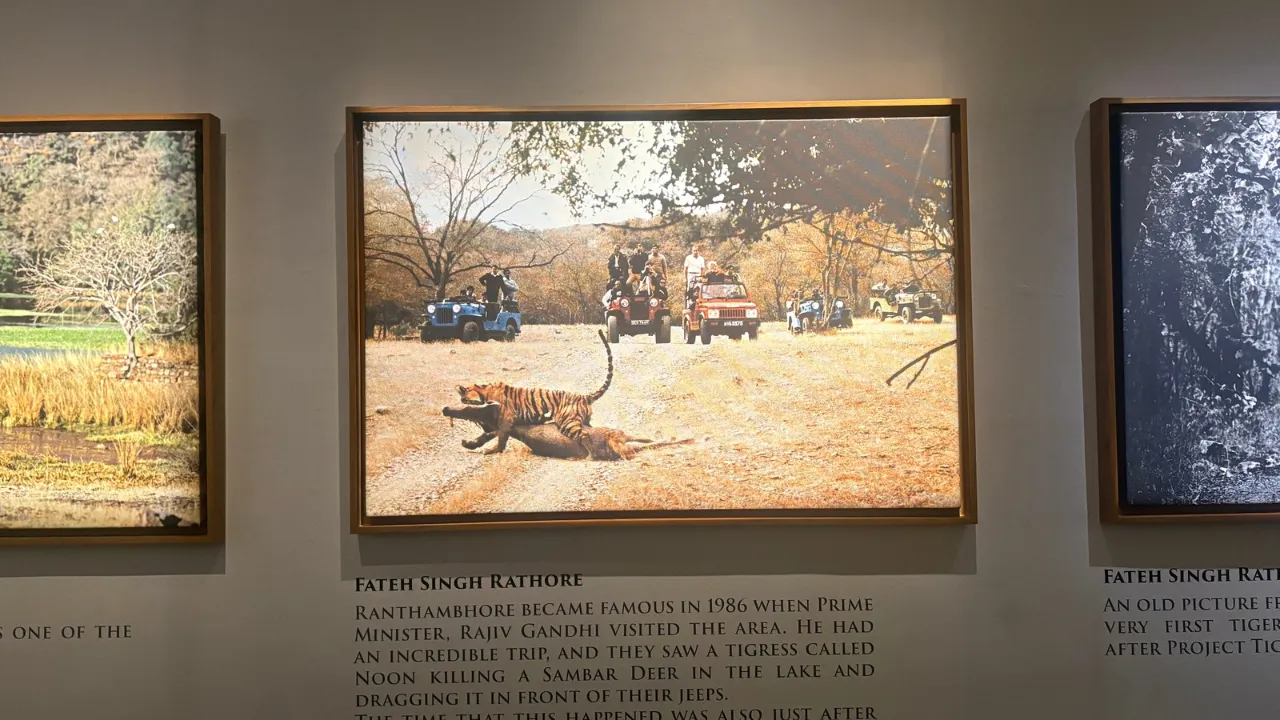 Copy of Local Samosa FI - 3