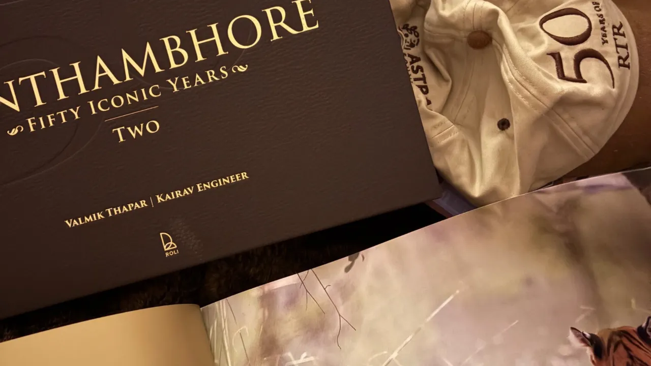 Copy of Local Samosa FI - 4