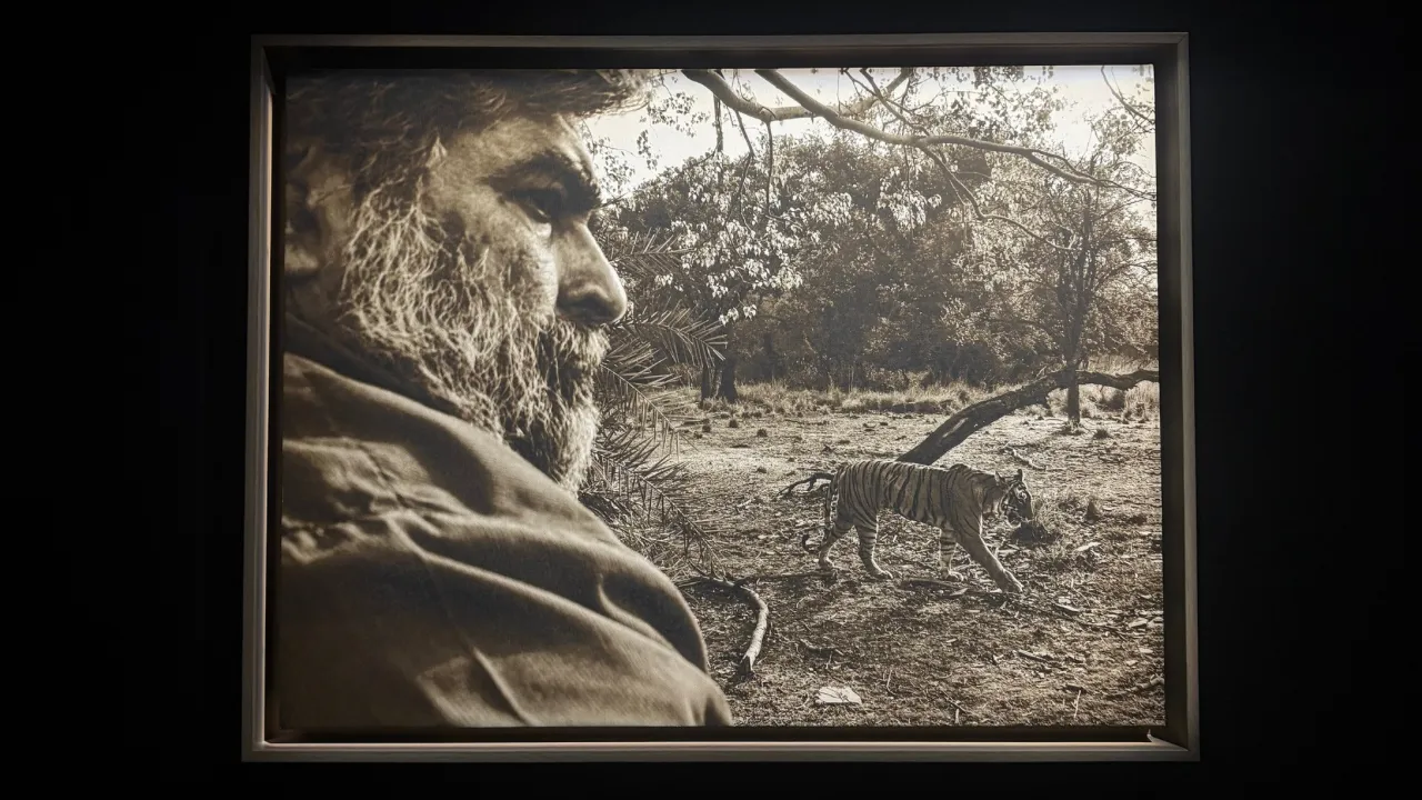 Copy of Local Samosa FI - 5