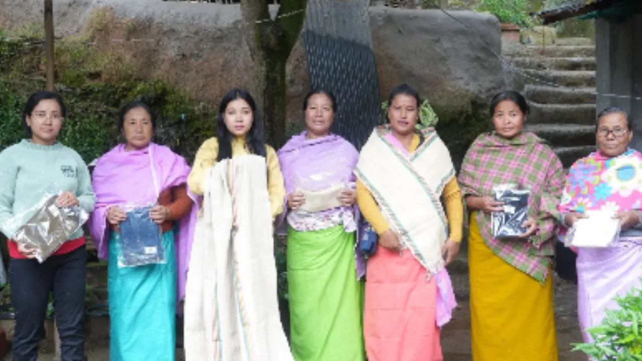 Copy of Local Samosa FI - 5