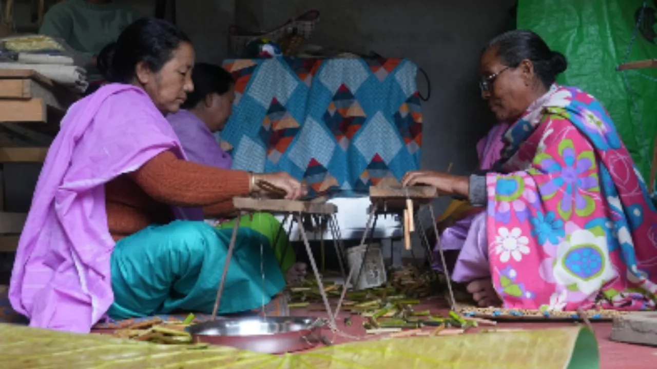 Copy of Local Samosa FI - 6