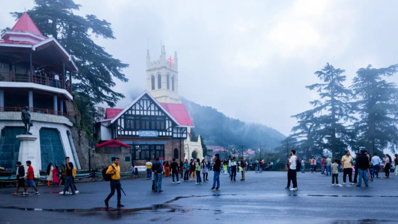 Copy of Copy of Local Samosa FI - 1