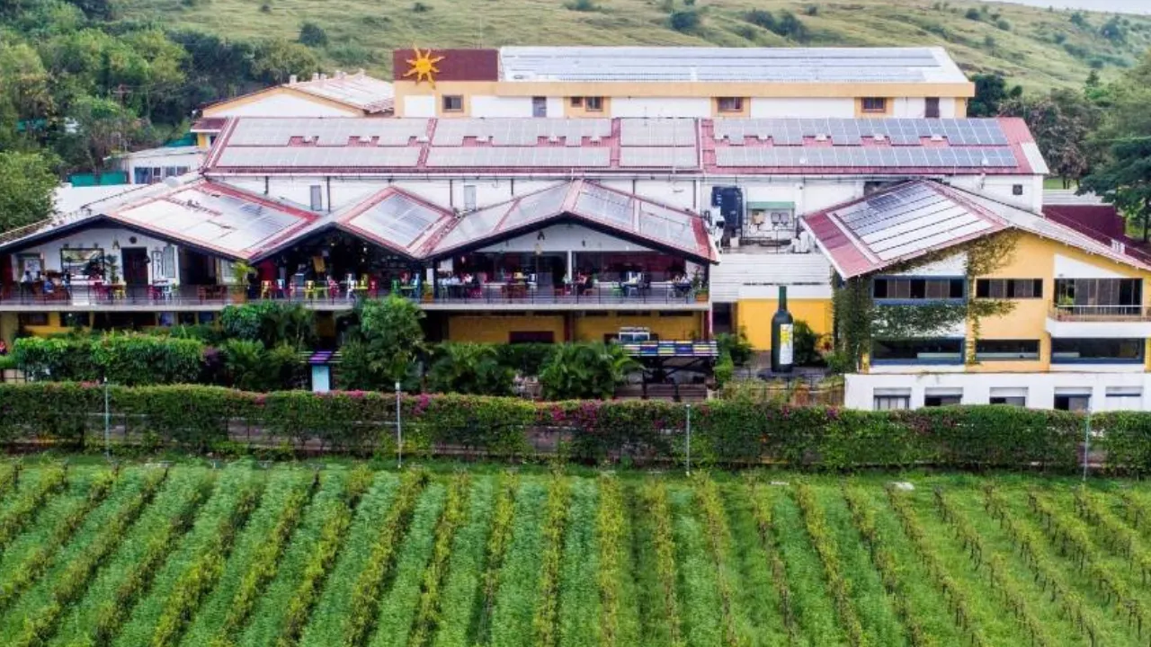 Copy of Copy of Local Samosa FI - 12