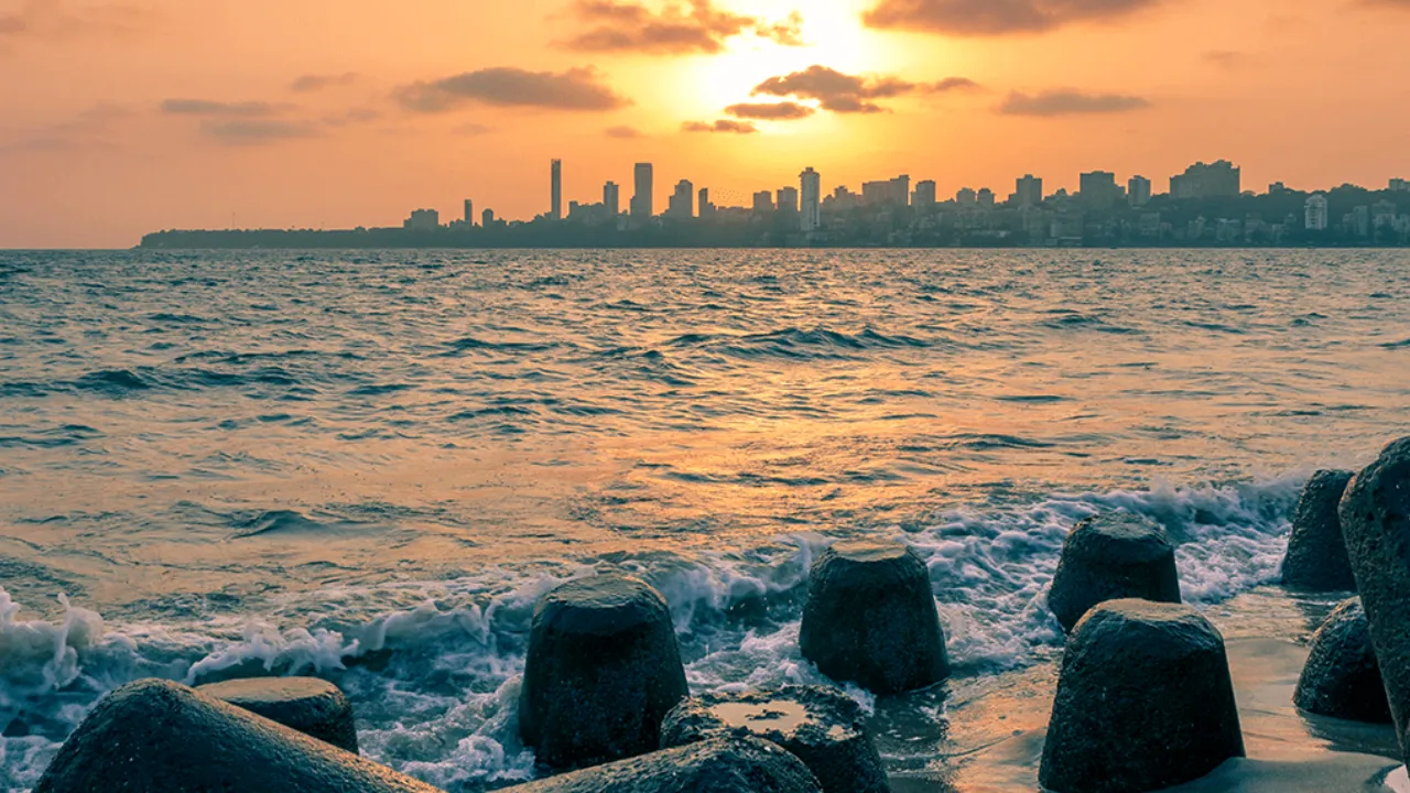 Copy of Copy of Local Samosa FI - 13