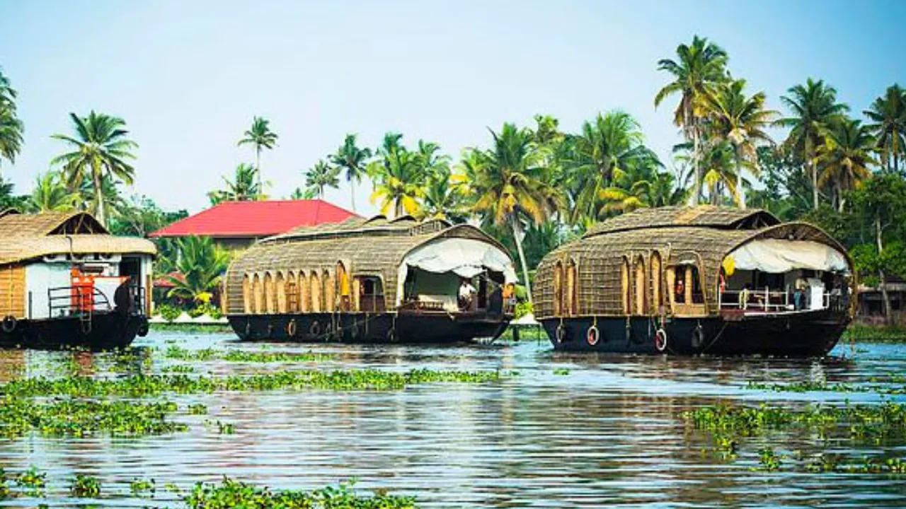 Copy of Copy of Local Samosa FI - 16