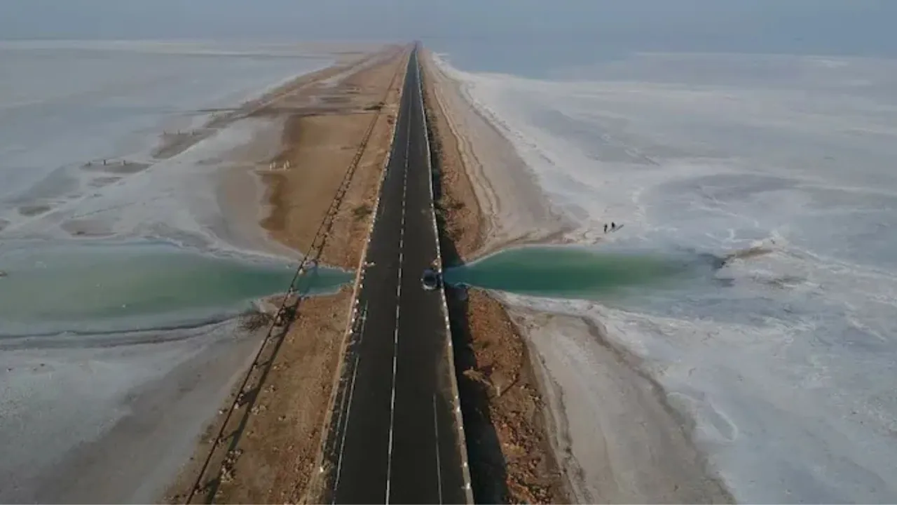 Copy of Copy of Local Samosa FI - 17