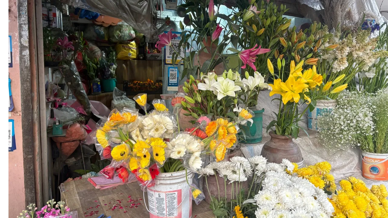 Copy of Copy of Local Samosa FI - 2