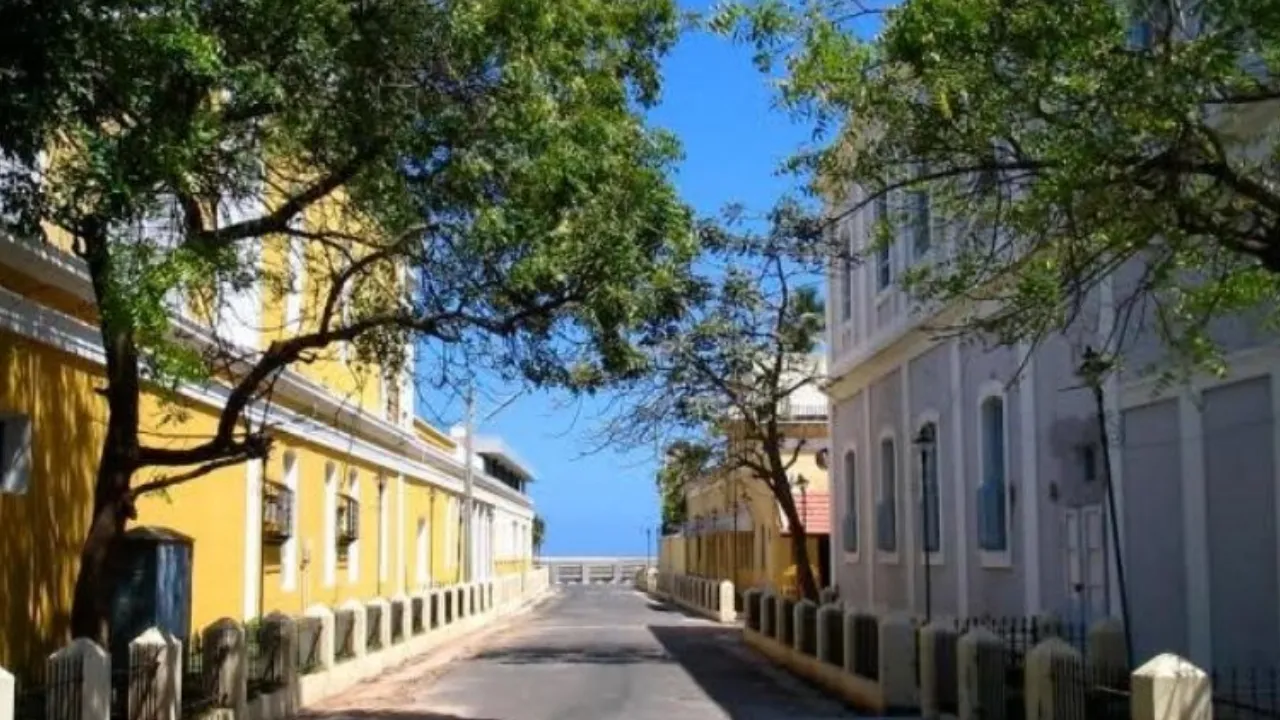 Copy of Copy of Local Samosa FI - 3