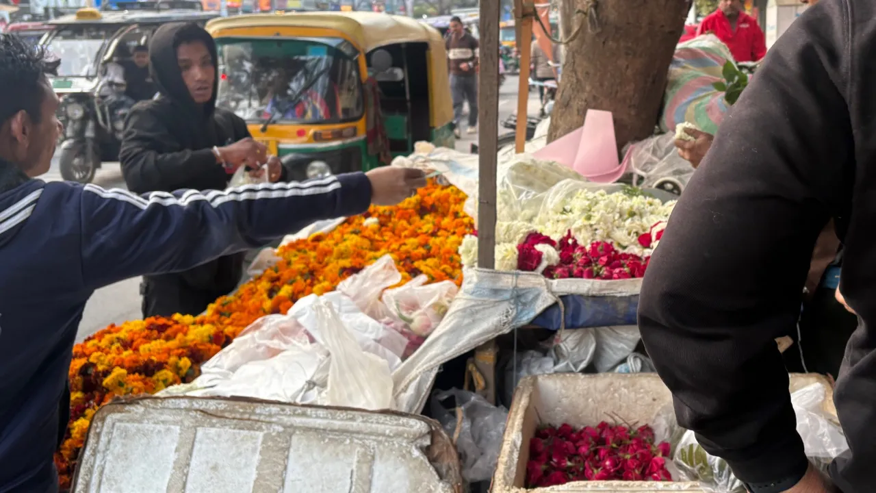 Copy of Copy of Local Samosa FI - 3