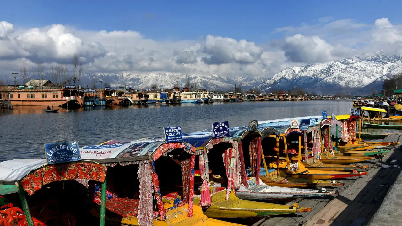 Copy of Copy of Local Samosa FI - 4